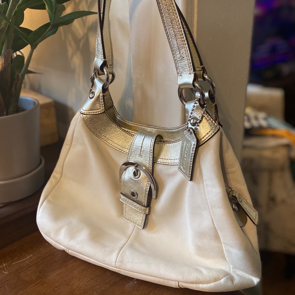 Coach Leather Hobo